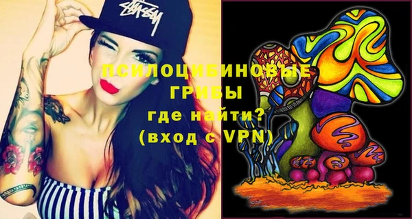 прущие крисы Елизово