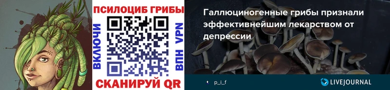 как найти наркотики Щигры Псилоцибиновые грибы ЛСД